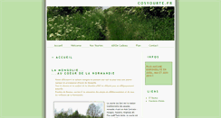 Desktop Screenshot of cosyourte.fr